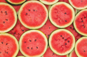 Watermelon Round Slice 300x197 